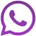 WhatsApp Business API Service Icon